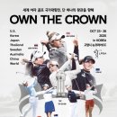 보플러스 이미지