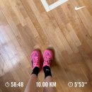 김밥도둑식당 | 2026 무한도전런 무도런 10km 53분 완주 후기