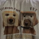 브레드댕댕 이미지