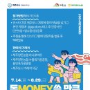 여름. 제주 이미지