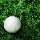 봉방스크린 이미지