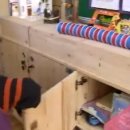 서촌초등학교 이미지