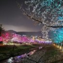 율하의낮과밤