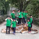 합천초등학교 이미지