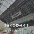 한국생약협회 축제, 약용작물愛빠지다 방문 후기