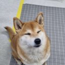 늘봄아로마테라피 이미지