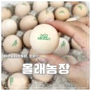 올래농장 이미지