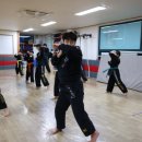 중앙합기도체육관 | 서산에서 체험하는 합기도의 매력, 컴뱃합기도진무관