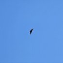 아양사랑숲 이미지