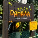 대구농장 | 대구 아이랑 야외체험 다하와 농장 내돈내산 재방문후기