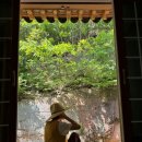 스테이청춘 이미지