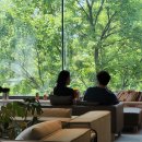 양지편로 이미지