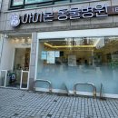 광진구 안과전문동물병원 아이본동물병원(노령견 강아지 백내장 검사 비용)