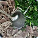 염소마을 이미지