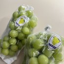 비옥상회 이미지