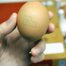 유정농장(2) 이미지