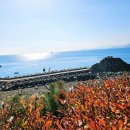 가덕주유소 이미지