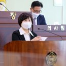 김영애의원 이미지