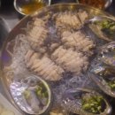 자매비어 | 애견동반 가능 자매수산 강남 본점 대방어 후기