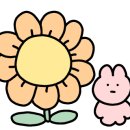 미쁘다뷰티군자점