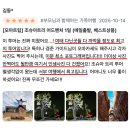 키스정보통신 | LA 근교 조슈아트리 국립공원 여행, 11월 12월 별 유성우 관측일 / 조슈아트리투어 추천