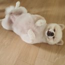 살롱드몽몽 이미지