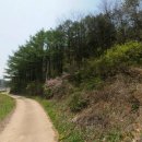 시골공인중개사사무소 이미지