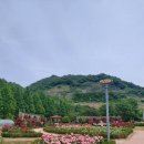 초동공원 네이버블로그