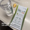 10월 둘째주 일상 포토덤프