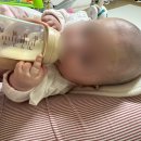 백일세탁 | 백일 아기 배냇머리 미용 후기