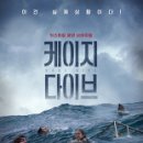 케이지 이미지