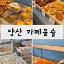 진소아청소년과의원 이미지