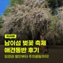 남이섬강변리조트(주) | 남이섬 벚꽃 여행 애견동반 가능? 입장권 할인 주차 꿀팁까지 총정리!