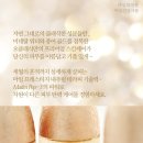 테라피 클래식 이미지