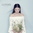 다온플랜 이미지