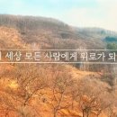김준헌 농장 네이버블로그