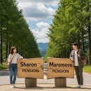 새벽풍경소리 수목원펜션 | 2월 태안 설연휴 가볼만한곳, 청포대해수욕장 추천 여행지 1박2일 코스 총정리