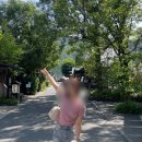 3탄] ‘하루하루투어’ 내돈내산 솔직후기 유후인마을...금상고로케/ 비허니유후인점/ 8월 일본 여행 후기