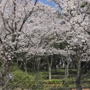 가족이야기 | 제주도 카니발 렌트 기사포함 우리 가족 제주 여행 이야기 후기