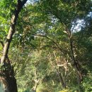 해일농장 | 해일농장 캠핑후기(장흥해일오토캠핑장)