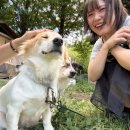 씨유 종로신교점 | 251107 공주의 규칙!! 1.sakcy한 음식~ 2.똥 싸면 안돼~