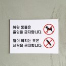 워시테리아전주 이미지