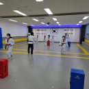 새나루 태권도 이미지