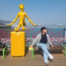 백호카워시 | 부산여행 추천여행지 ( 래디언트남포호텔/ 자갈치시장회센터/ 송도케이블카/ 카페오션뷰)