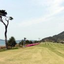 태안비치컨트리클럽 이미지