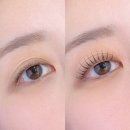 아이끌레르 | 강남역 속눈썹펌 잘하는곳 추천 아이끌레르 대만족한 후기