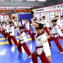 국가대표 탑클래스 태권도 이미지