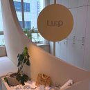 분당야탑3-A-7 | 분당미용실 추천, 야탑 룹헤어 물미역 되는 헤어클리닉 대만족 후기