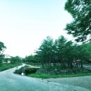 구수곡자연휴양림 야영장 이미지