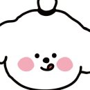 취향저견 이미지